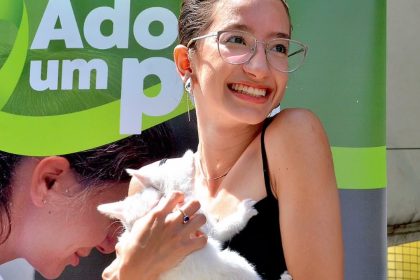 Adoção animais Campina Grande