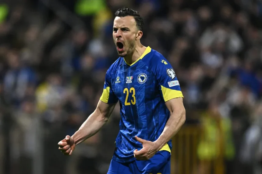 Bósnia está na Copa do Mundo