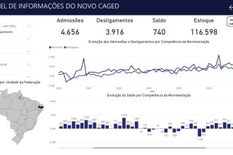 Interface do site do Caged